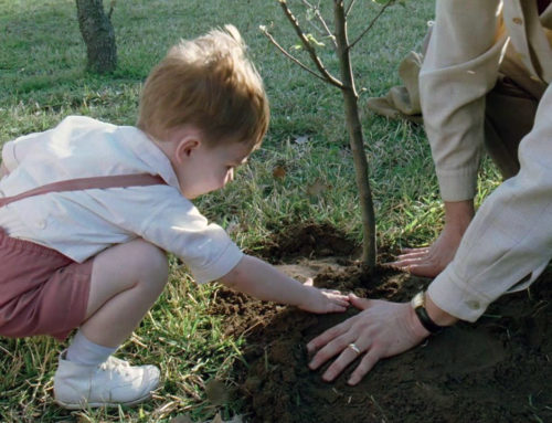 EL ÁRBOL DE LA VIDA (Terrence Malick, 2011)